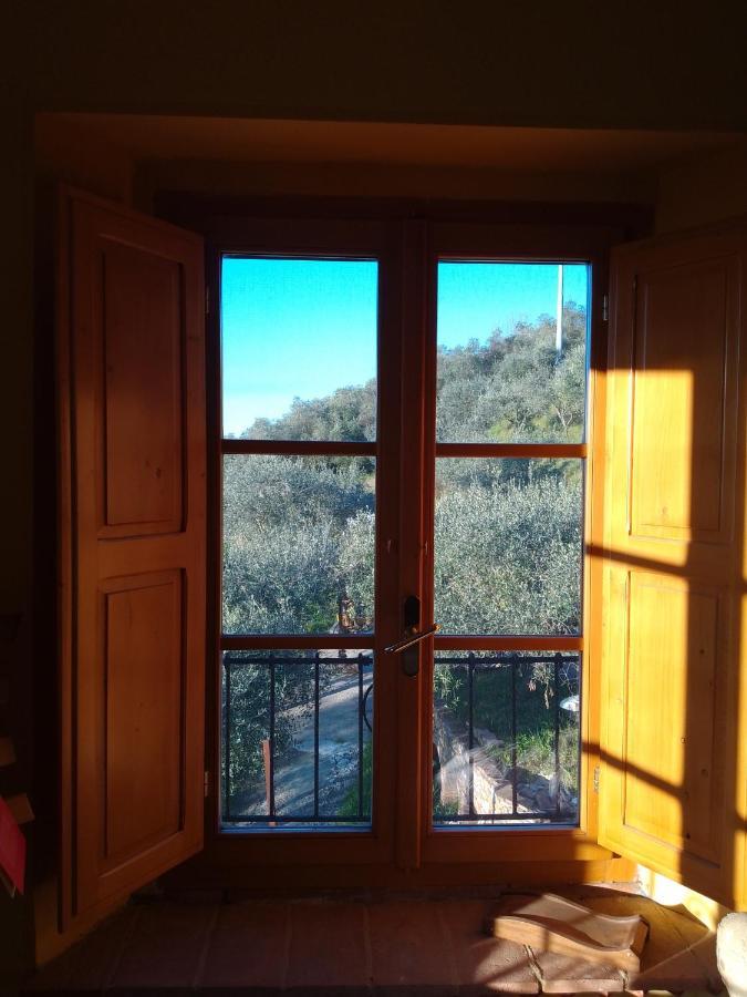 Apartamento L'Ulivoimperfetto Buti Exterior foto